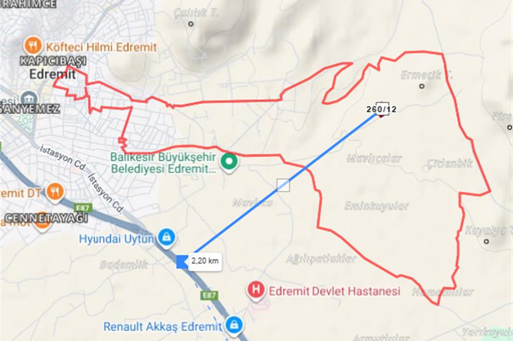 C21BAL'DAN EDREMİT GAZİİLYAS MH YOLU-SUYU OLAN SATILIK ZEYTİNLİK