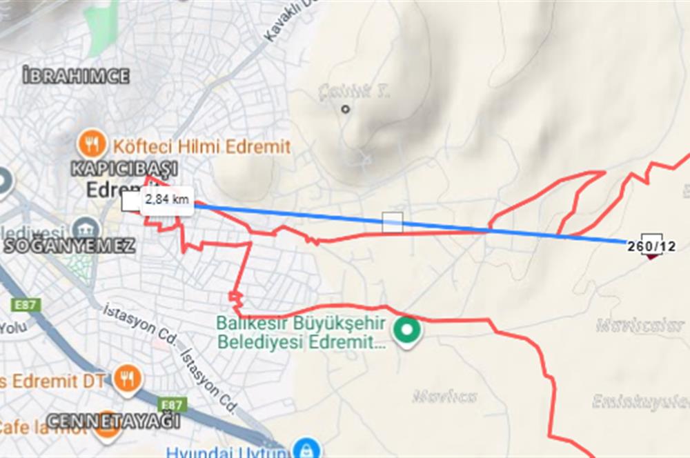 C21BAL'DAN EDREMİT GAZİİLYAS MH YOLU-SUYU OLAN SATILIK ZEYTİNLİK
