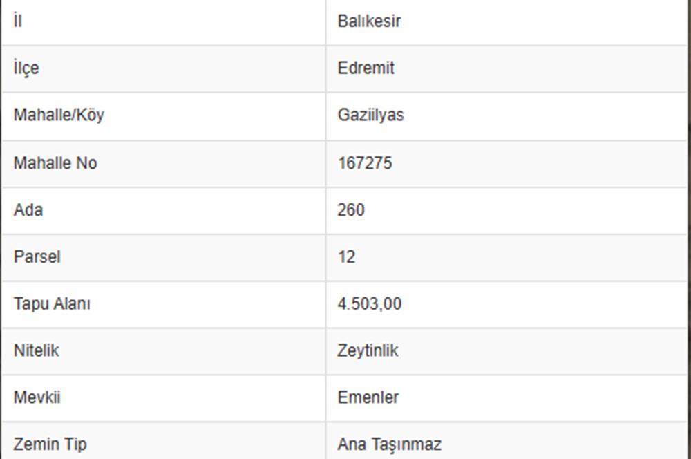 C21BAL'DAN EDREMİT GAZİİLYAS MH YOLU-SUYU OLAN SATILIK ZEYTİNLİK