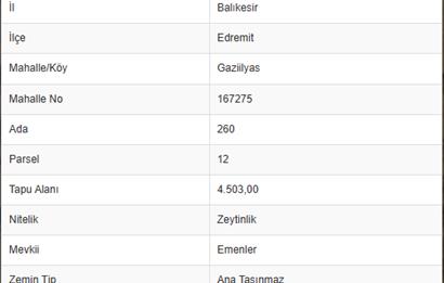 C21BAL'DAN EDREMİT GAZİİLYAS MH YOLU-SUYU OLAN SATILIK ZEYTİNLİK