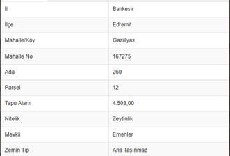 C21BAL'DAN EDREMİT GAZİİLYAS MH YOLU-SUYU OLAN SATILIK ZEYTİNLİK - 6 - 31580