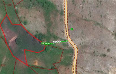 C21 Cius; Gemlik Şahinyurdu'nda En Uygun 6460m2 Tarla Satılık