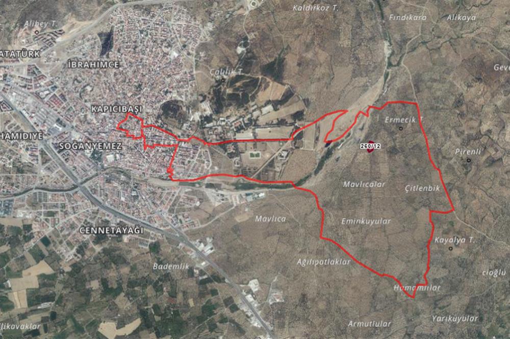 C21BAL'DAN EDREMİT GAZİİLYAS MH YOLU-SUYU OLAN SATILIK ZEYTİNLİK