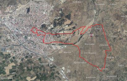 C21BAL'DAN EDREMİT GAZİİLYAS MH YOLU-SUYU OLAN SATILIK ZEYTİNLİK