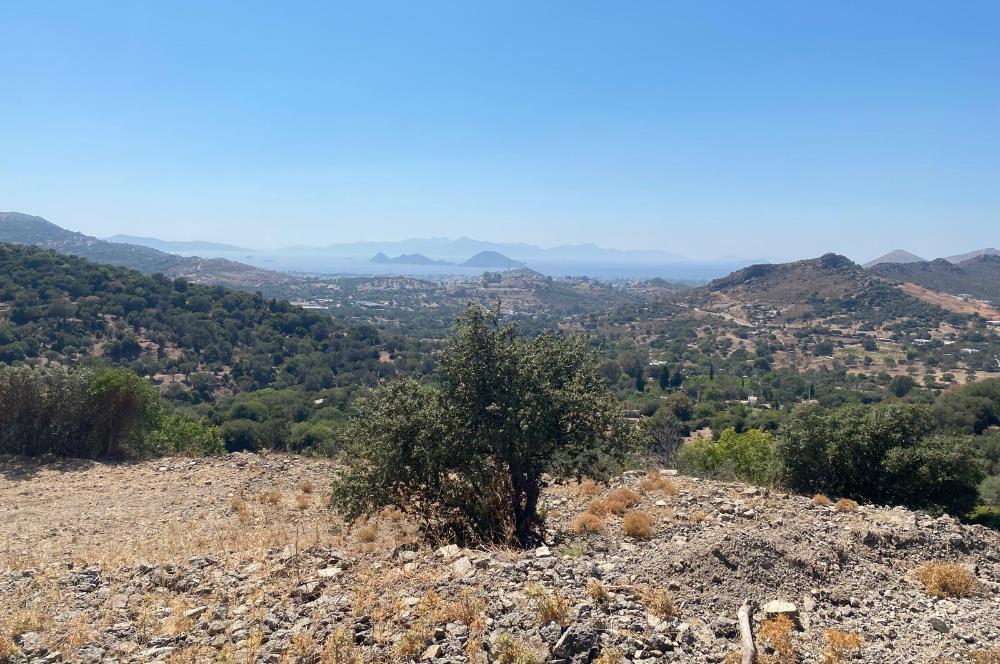 Bodrum Turgutreis'te Deniz Manzaralı Satılık Tarla Kooperatif Payı