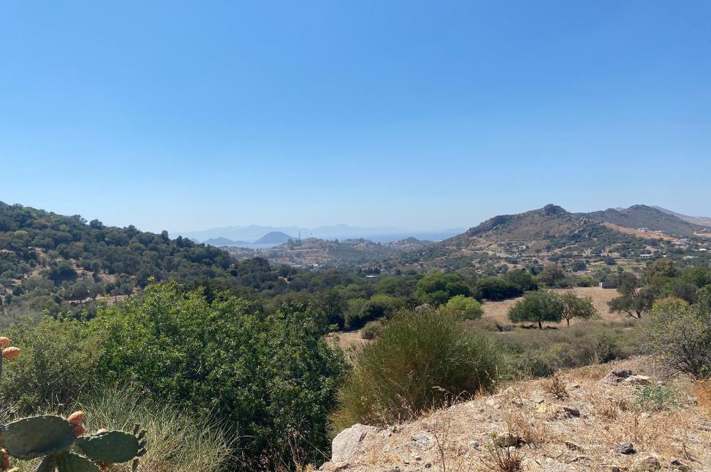 Bodrum Turgutreis'te Deniz Manzaralı Satılık Tarla Kooperatif Payı