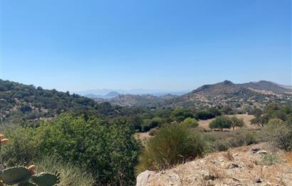 Bodrum Turgutreis'te Deniz Manzaralı Satılık Tarla Kooperatif Payı