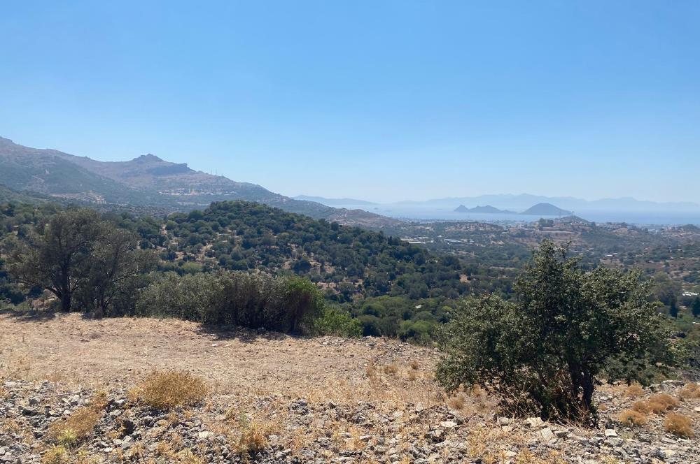 Bodrum Turgutreis'te Deniz Manzaralı Satılık Tarla Kooperatif Payı