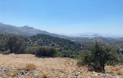 Bodrum Turgutreis'te Deniz Manzaralı Satılık Tarla Kooperatif Payı