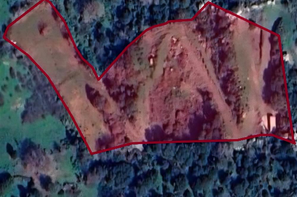 Bodrum Turgutreis'te Deniz Manzaralı Satılık Tarla Kooperatif Payı