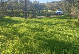 C21 Cius; Umurbey'de Kadastro Yoluna Cephe Düz Satılık 2908 m2 - 7 - 31611