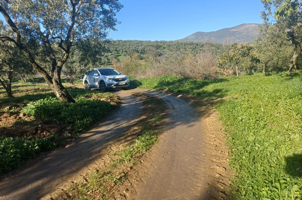 C21 Cius; Umurbey'de Kadastro Yoluna Cephe Düz Satılık 2908 m2