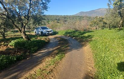 C21 Cius; Umurbey'de Kadastro Yoluna Cephe Düz Satılık 2908 m2