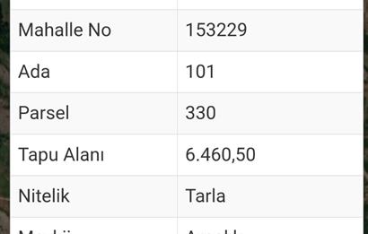 C21 Cius; Gemlik Şahinyurdu'nda En Uygun 6460m2 Tarla Satılık