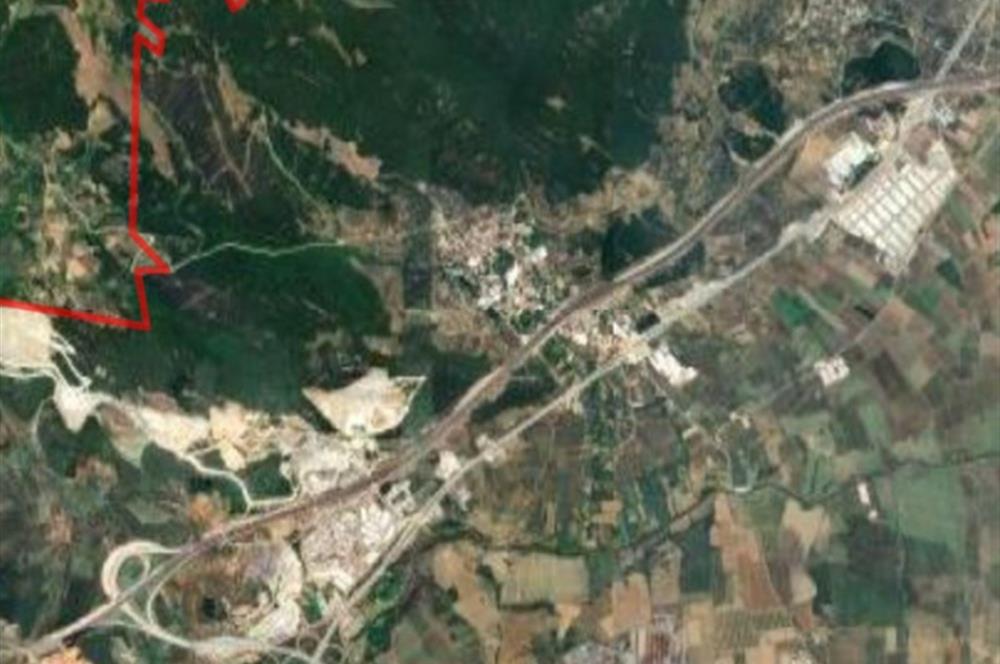 C21 Cius; Gemlik Şahinyurdu'nda En Uygun 6460m2 Tarla Satılık