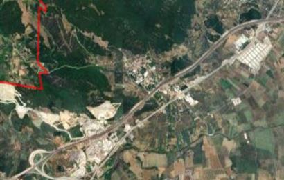 C21 Cius; Gemlik Şahinyurdu'nda En Uygun 6460m2 Tarla Satılık