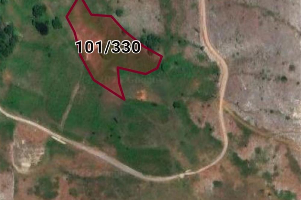 C21 Cius; Gemlik Şahinyurdu'nda En Uygun 6460m2 Tarla Satılık