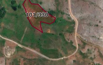 C21 Cius; Gemlik Şahinyurdu'nda En Uygun 6460m2 Tarla Satılık