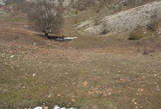 C21 Cius; Gemlik Şahinyurdu'nda En Uygun 6460m2 Tarla Satılık - 8 - 31610