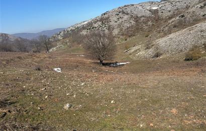 C21 Cius; Gemlik Şahinyurdu'nda En Uygun 6460m2 Tarla Satılık