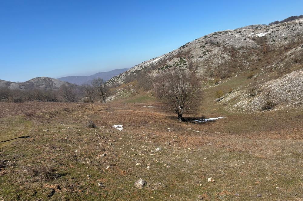 C21 Cius; Gemlik Şahinyurdu'nda En Uygun 6460m2 Tarla Satılık