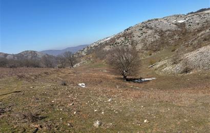C21 Cius; Gemlik Şahinyurdu'nda En Uygun 6460m2 Tarla Satılık