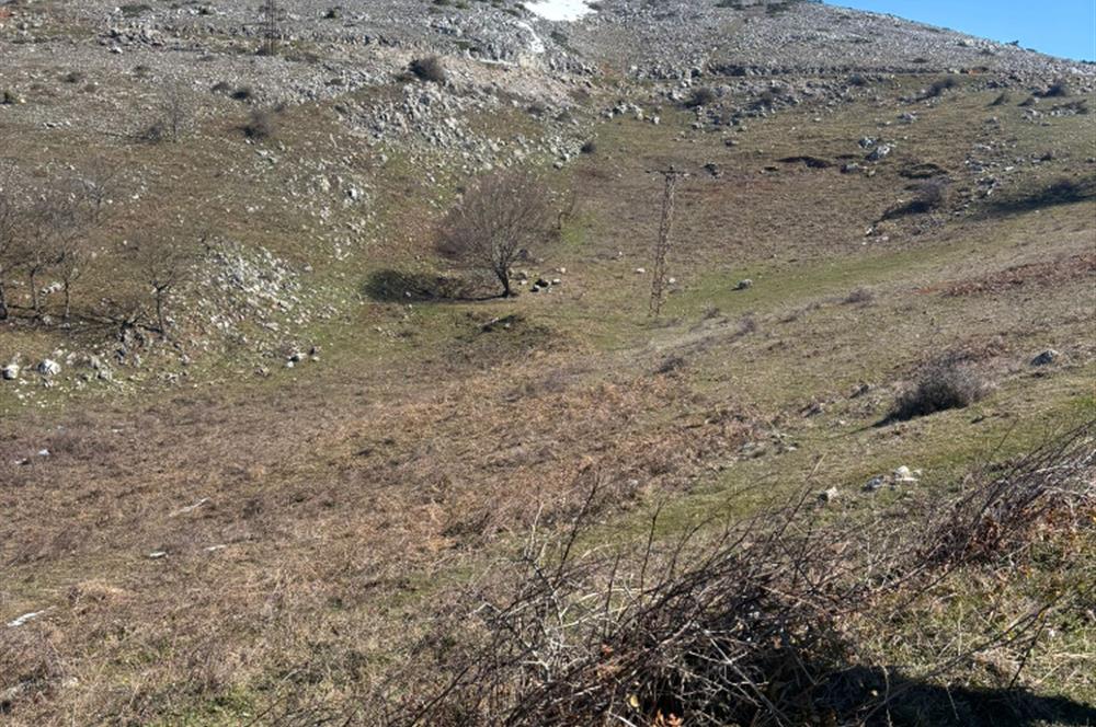 C21 Cius; Gemlik Şahinyurdu'nda En Uygun 6460m2 Tarla Satılık