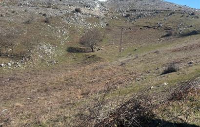 C21 Cius; Gemlik Şahinyurdu'nda En Uygun 6460m2 Tarla Satılık