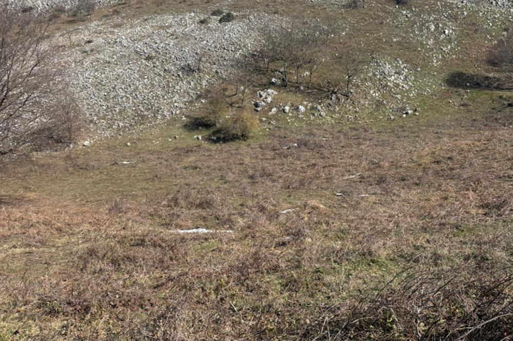 C21 Cius; Gemlik Şahinyurdu'nda En Uygun 6460m2 Tarla Satılık