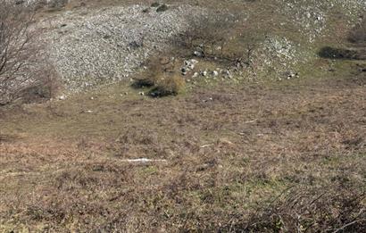 C21 Cius; Gemlik Şahinyurdu'nda En Uygun 6460m2 Tarla Satılık