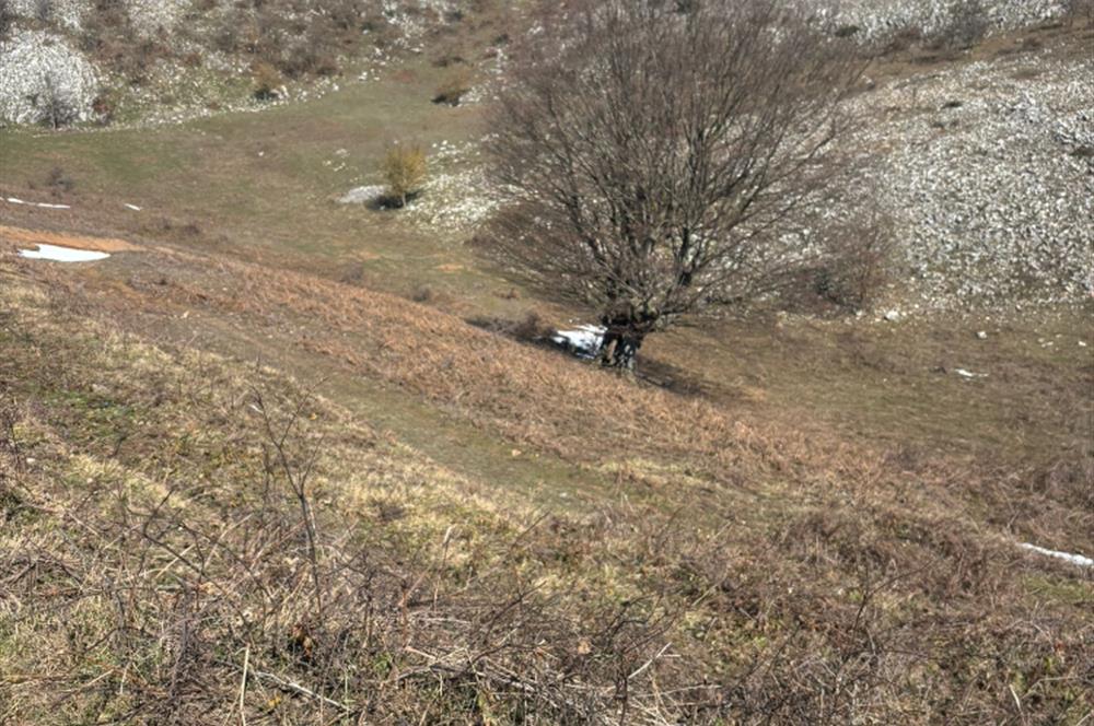 C21 Cius; Gemlik Şahinyurdu'nda En Uygun 6460m2 Tarla Satılık