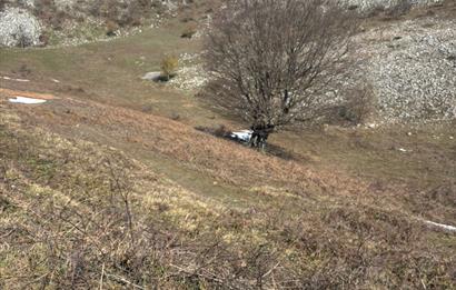 C21 Cius; Gemlik Şahinyurdu'nda En Uygun 6460m2 Tarla Satılık