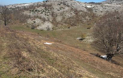 C21 Cius; Gemlik Şahinyurdu'nda En Uygun 6460m2 Tarla Satılık