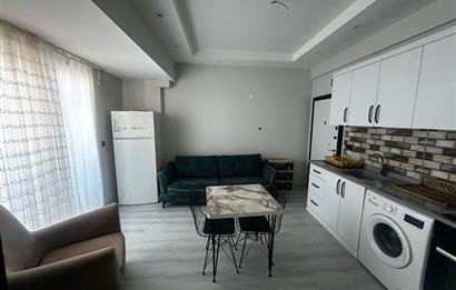 C21 Bal'dan Dinkçiler'de Satılık Eşyalı 1+1 Daire