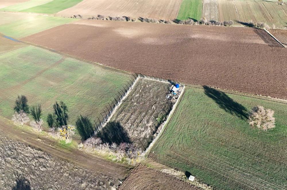 Tavas Karahisar'da 1672 m² Satılık Fırsat Tarla
