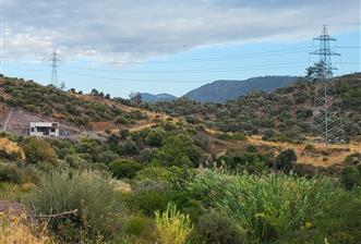 Bodrum gökpınar 2.944 m2 satılık zeytinlik - 3 - 15586