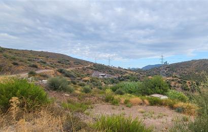  Bodrum Gökpınar 2,546 m2 olive grove for sale