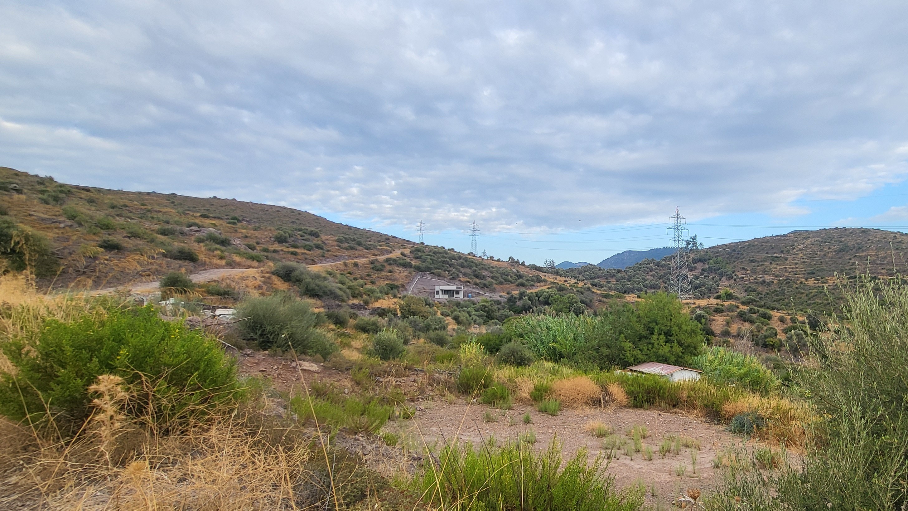 Bodrum gökpınar 2.546 m2 satılık zeytinlik