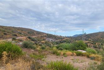  Bodrum Gökpınar 2,546 m2 olive grove for sale - 2 - 15587