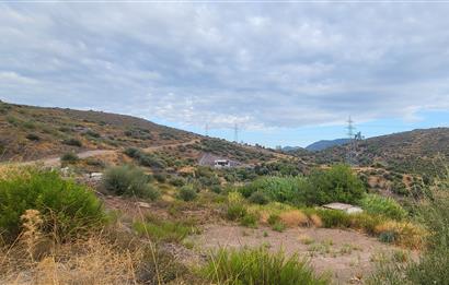  Bodrum Gökpınar 2,546 m2 olive grove for sale