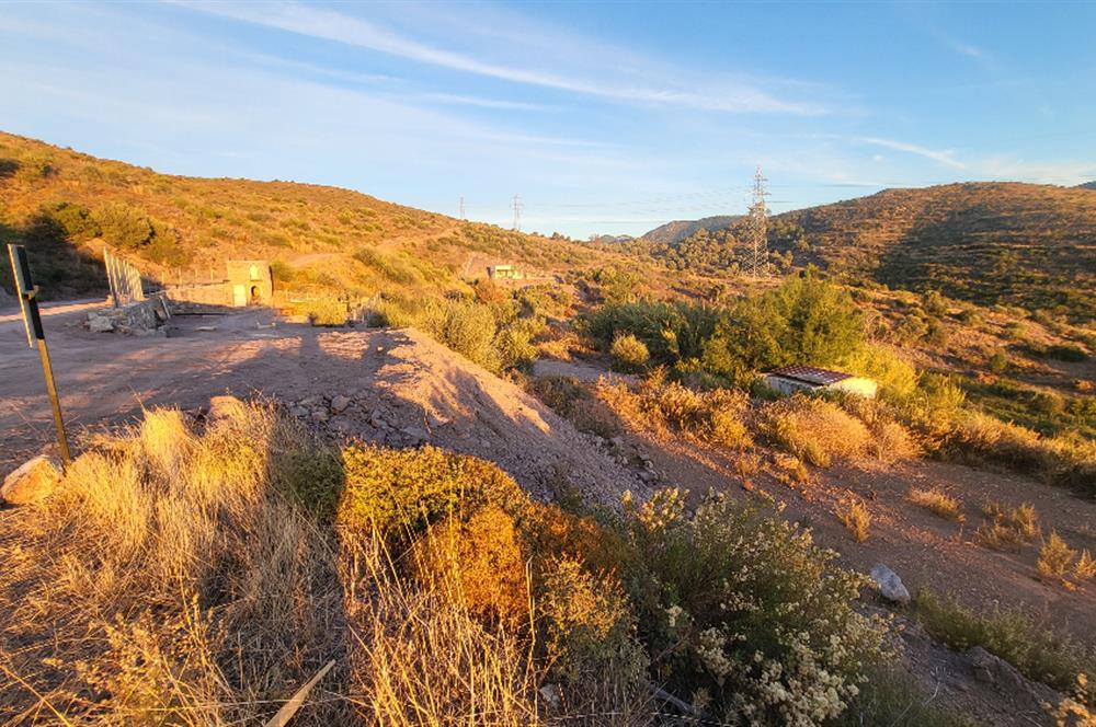  Bodrum Gökpınar 2,546 m2 olive grove for sale