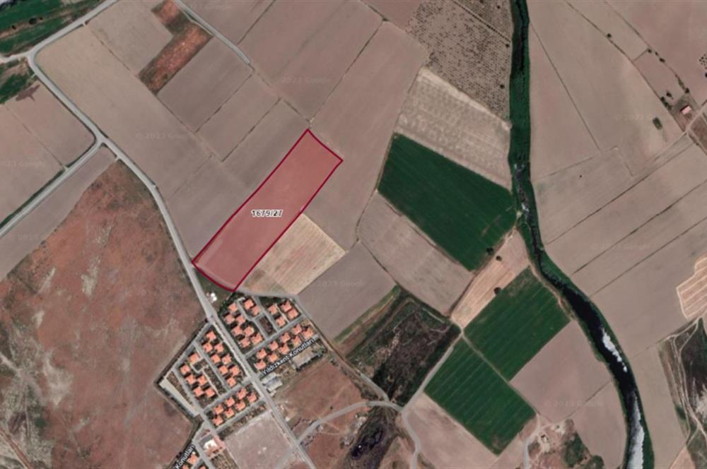 DİKİLİ ÇANDARLI LİMANINA YAKIN 22 dnm SATILIK TARLA