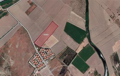 DİKİLİ ÇANDARLI LİMANINA YAKIN 22 dnm SATILIK TARLA