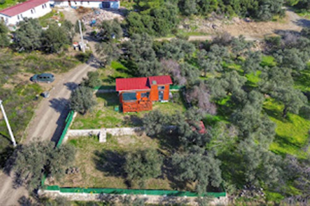 Hayıtbükü Plajına 450 m | Tiny House Mevcut | Ana Yola Cepheli