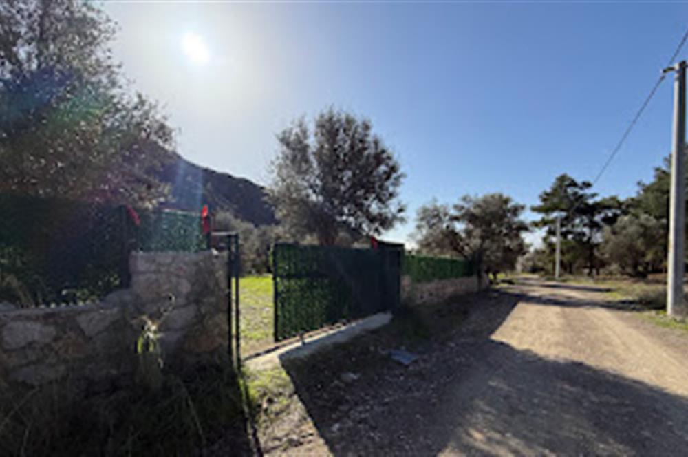 Hayıtbükü Plajına 450 m | Tiny House Mevcut | Ana Yola Cepheli