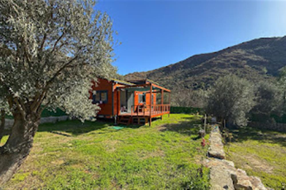 Hayıtbükü Plajına 450 m | Tiny House Mevcut | Ana Yola Cepheli