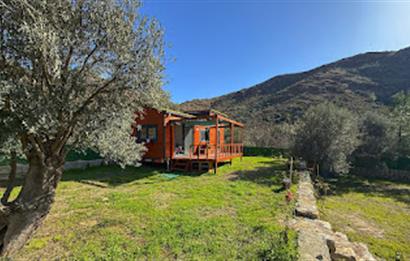 Hayıtbükü Plajına 450 m | Tiny House Mevcut | Ana Yola Cepheli
