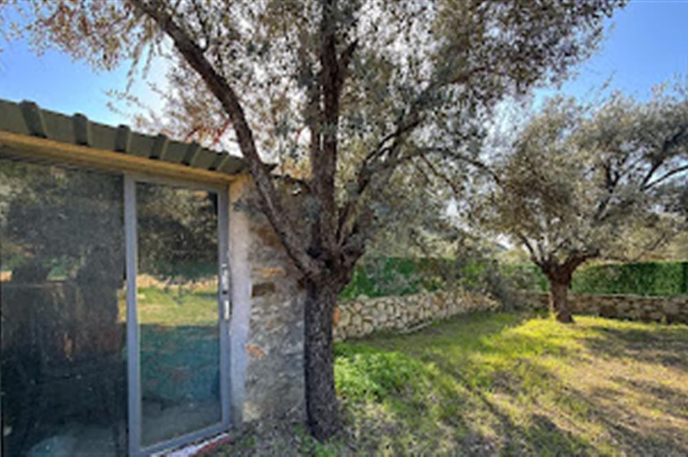 Hayıtbükü Plajına 450 m | Tiny House Mevcut | Ana Yola Cepheli