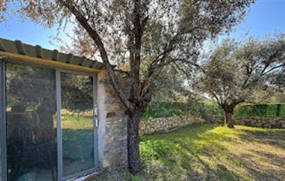 Hayıtbükü Plajına 450 m | Tiny House Mevcut | Ana Yola Cepheli