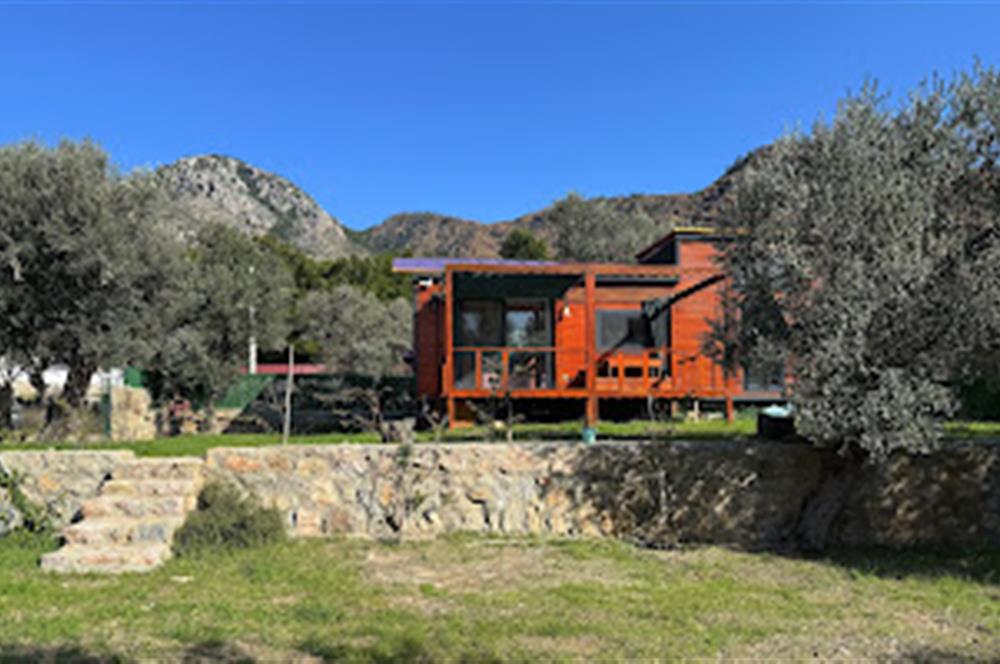 Hayıtbükü Plajına 450 m | Tiny House Mevcut | Ana Yola Cepheli